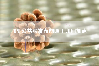 DNF公益服发布网明王如何加点