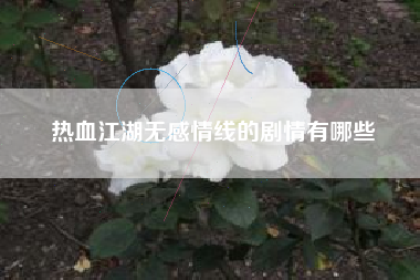 热血江湖无感情线的剧情有哪些