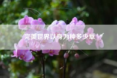 完美世界以身为种多少章