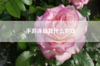 手游诛仙算什么游戏