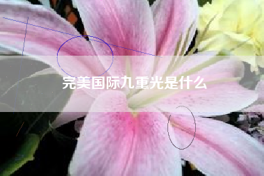 完美国际九重光是什么