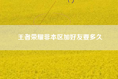 王者荣耀非本区加好友要多久