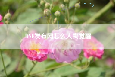 DNF发布网怎么人物觉醒