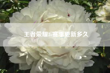 王者荣耀3s赛季更新多久