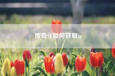 传奇SF如何获取ip