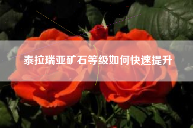 泰拉瑞亚矿石等级如何快速提升
