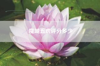 魔域五虎评分多少