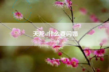 天龙sf什么要闪婚