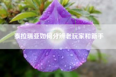 泰拉瑞亚如何分辨老玩家和新手