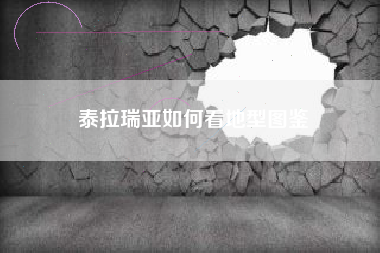 泰拉瑞亚如何看地型图鉴