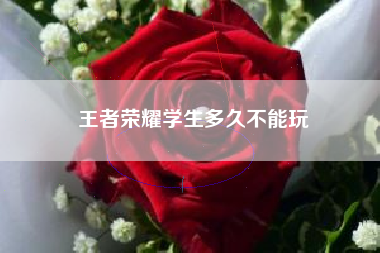 王者荣耀学生多久不能玩