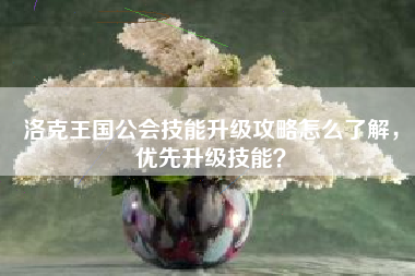 洛克王国公会技能升级攻略怎么了解，优先升级技能？