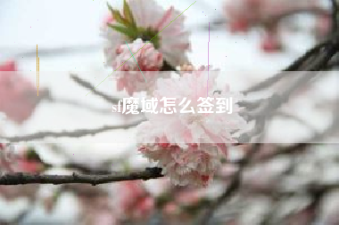 sf魔域怎么签到
