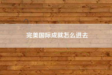 完美国际成就怎么进去