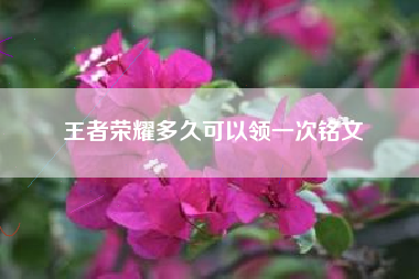 王者荣耀多久可以领一次铭文