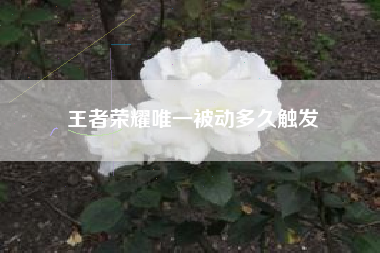 王者荣耀唯一被动多久触发