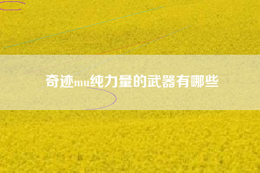 奇迹mu纯力量的武器有哪些