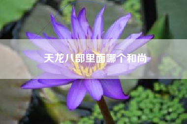 天龙八部里面哪个和尚