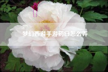 梦幻西游手游药臼怎么弄