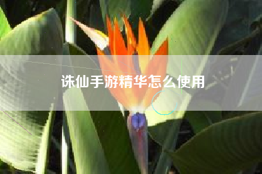 诛仙手游精华怎么使用