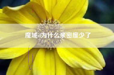魔域sf为什么亲密度少了