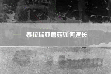 泰拉瑞亚蘑菇如何速长