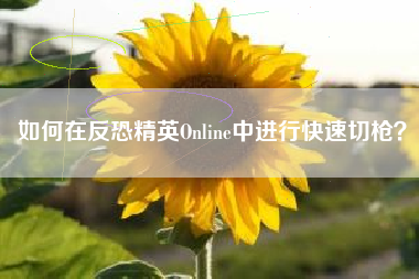 如何在反恐精英Online中进行快速切枪？