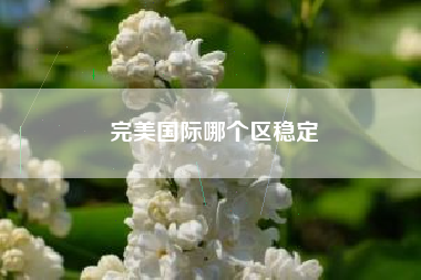 完美国际哪个区稳定