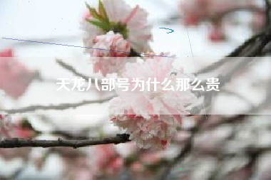天龙八部号为什么那么贵