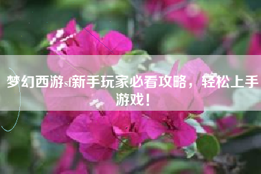 梦幻西游sf新手玩家必看攻略，轻松上手游戏！