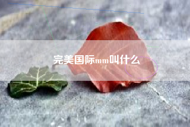 完美国际mm叫什么