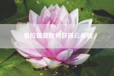 泰拉瑞亚如何获得云朵瓶