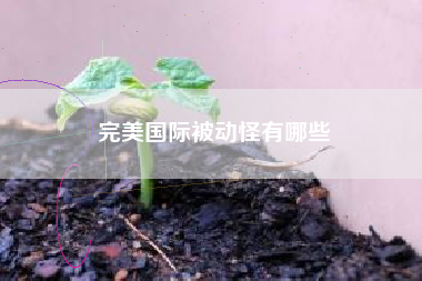 完美国际被动怪有哪些