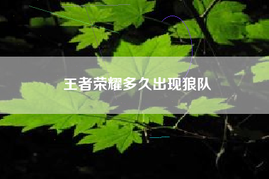 王者荣耀多久出现狼队