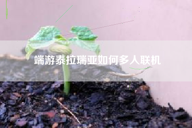端游泰拉瑞亚如何多人联机