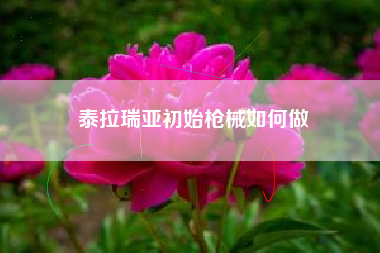 泰拉瑞亚初始枪械如何做