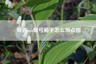 奇迹mu敏弓箭手怎么加点图