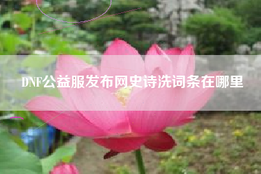 DNF公益服发布网史诗洗词条在哪里