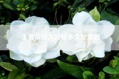 王者荣耀大国标多久能拿到