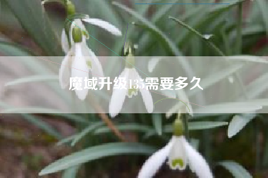 魔域升级135需要多久