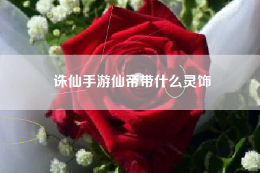 诛仙手游仙帝带什么灵饰