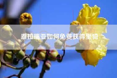 泰拉瑞亚如何免费获得坐骑