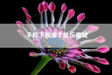 手机下载哪个能玩魔域