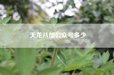 天龙八部公众号多少