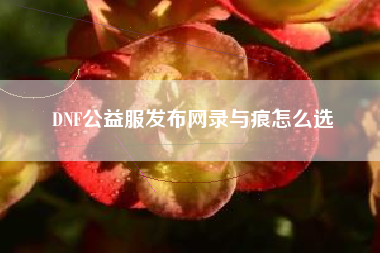 DNF公益服发布网录与痕怎么选