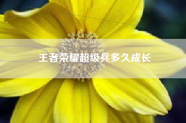 王者荣耀超级兵多久成长
