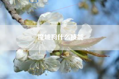魔域狗什么技能
