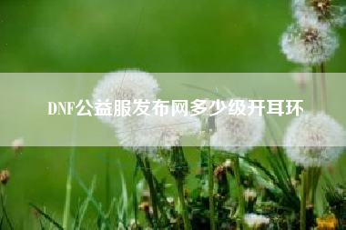 DNF公益服发布网多少级开耳环