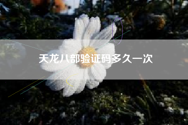 天龙八部验证码多久一次