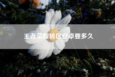 王者荣耀转区安卓要多久